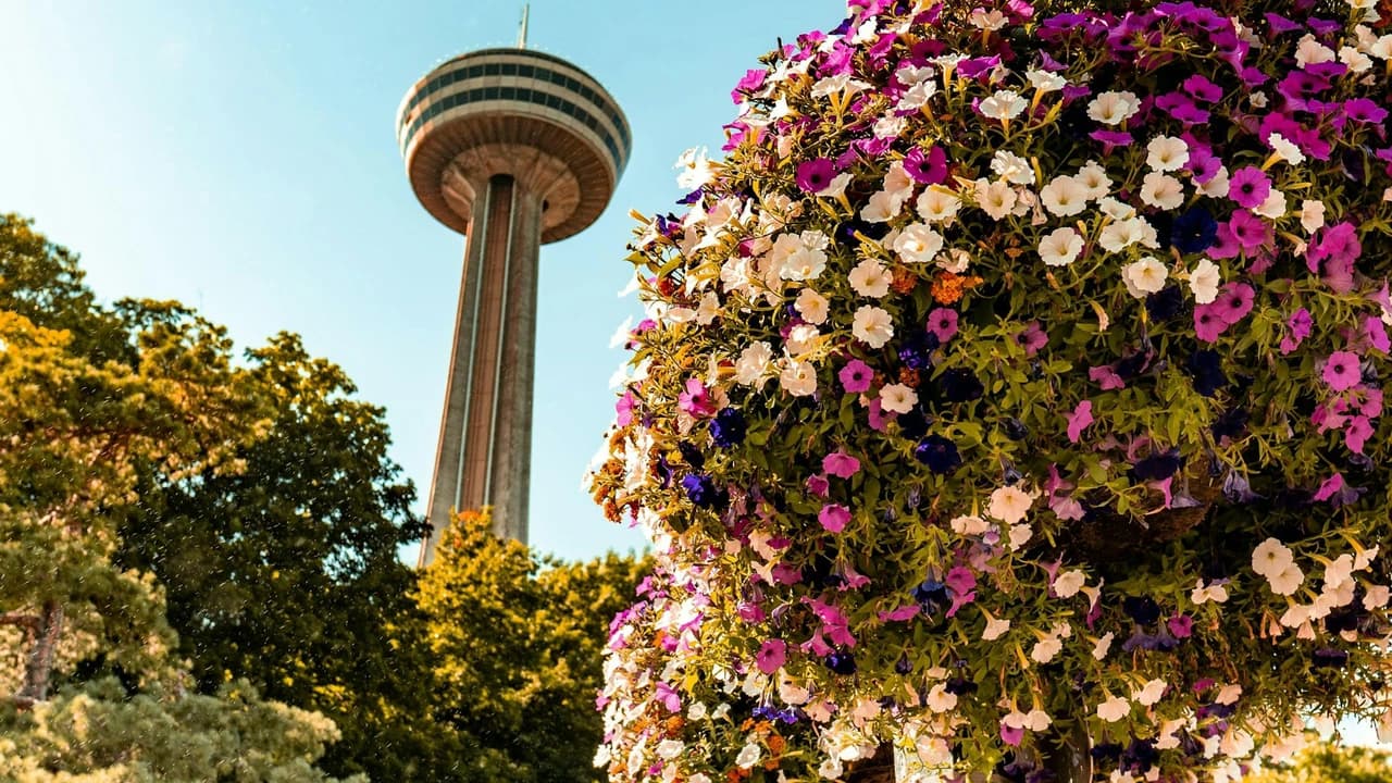 Niagara Falls(US & Canada): Guided Tour with Boat Cruise, Cave of the Winds & Skylon Tower - Photo 1