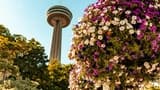 Niagara Falls(US & Canada): Guided Tour with Boat Cruise, Cave of the Winds & Skylon Tower - image 8