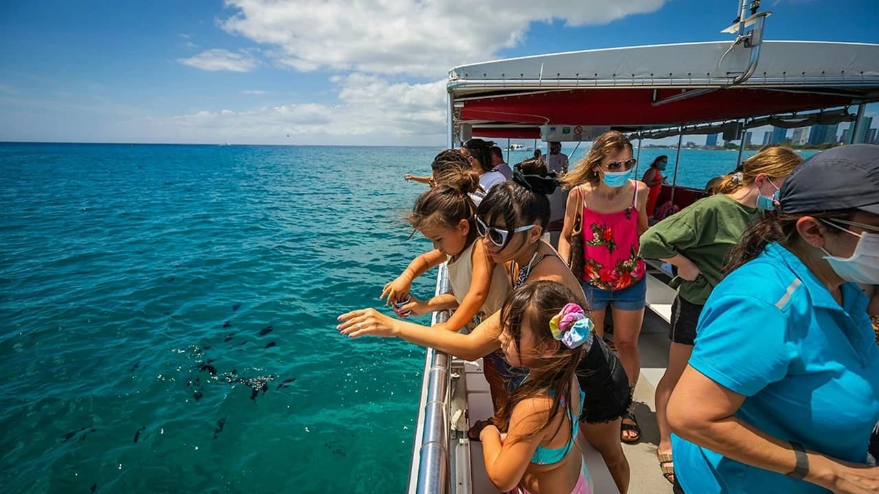Waikiki: Daytime Glass Bottom Boat Tour - Photo 5