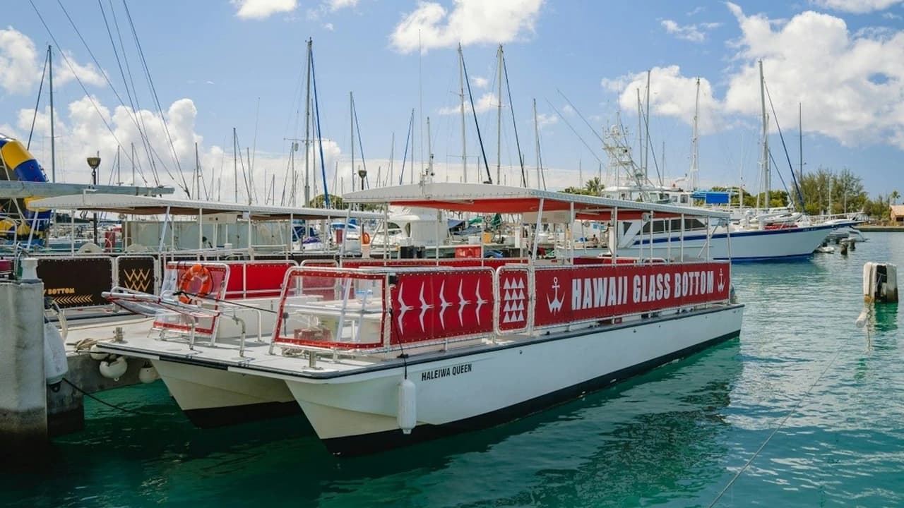 Waikiki: Daytime Glass Bottom Boat Tour - image 6