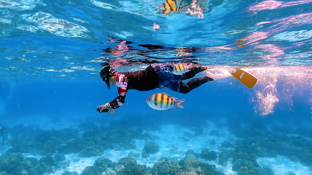 Raya Noi, Raya Yai, and Maiton Island Snorkelling Tour from Phuket - Photo 1