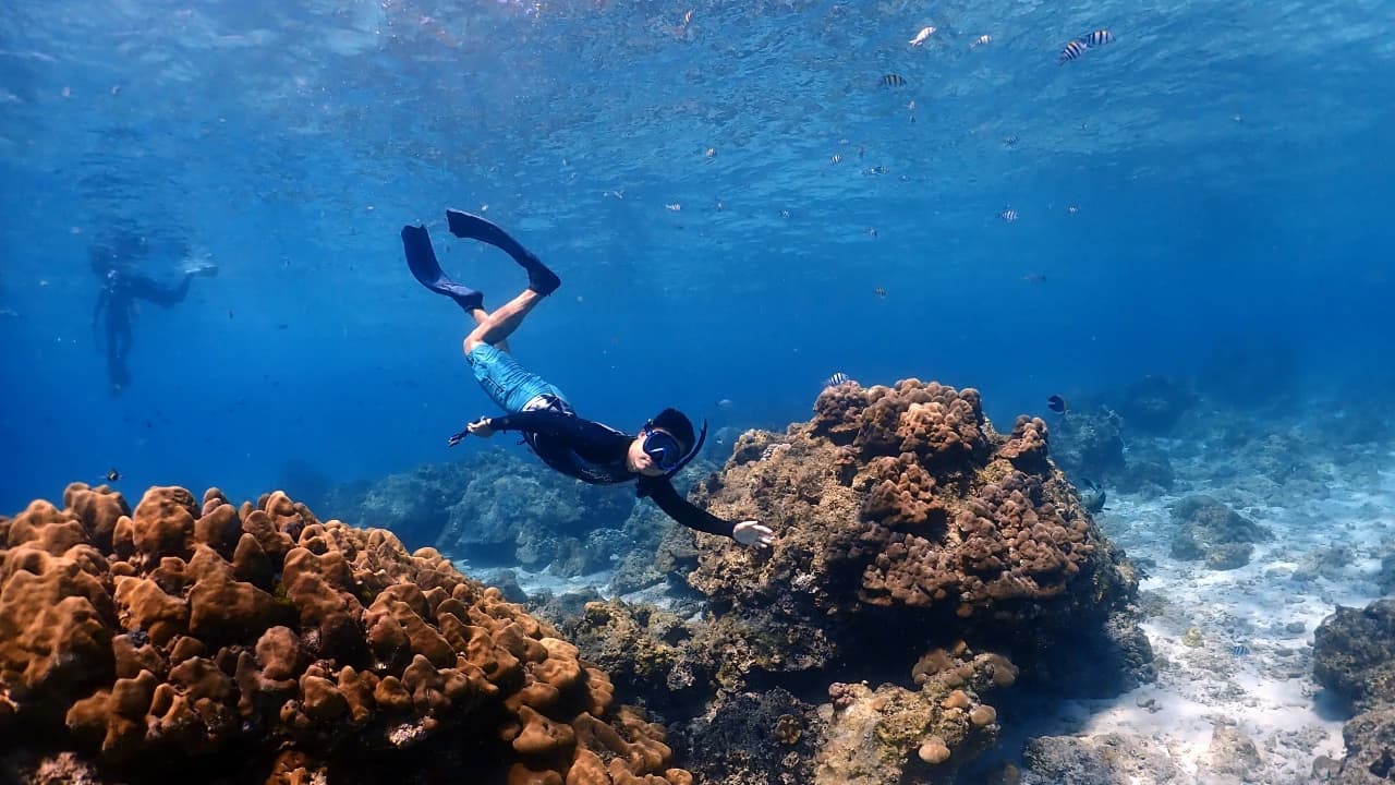 Raya Noi, Raya Yai, and Maiton Island Snorkelling Tour from Phuket - image 7