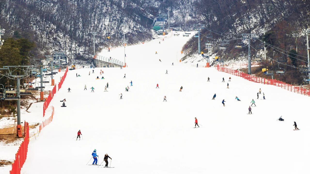 Jisan Forest Ski Resort Full-Day Tour from Seoul - Photo 1