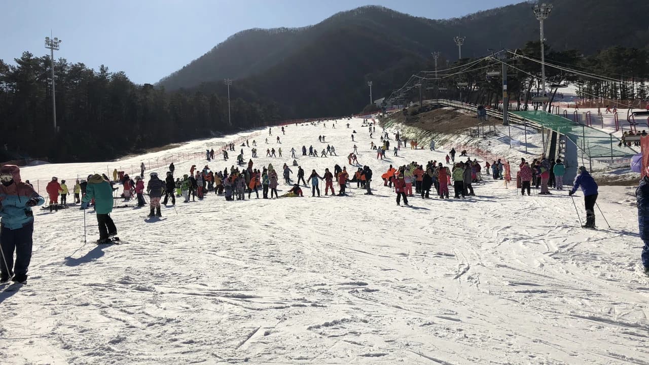 Jisan Forest Ski Resort Full-Day Tour from Seoul - Photo 2