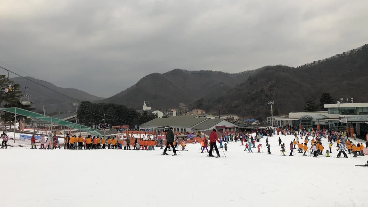Jisan Forest Ski Resort Full-Day Tour from Seoul - image 6
