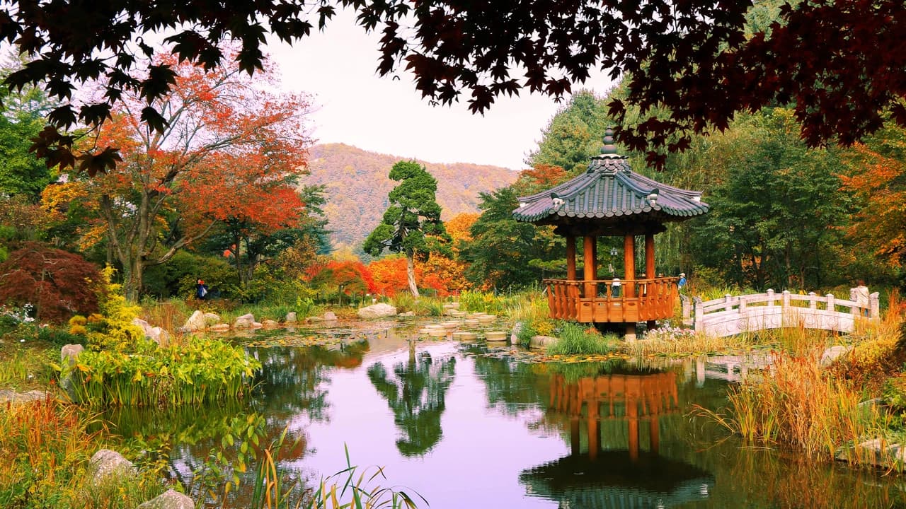 Nami Island and Garden of Morning Calm Tour from Seoul - Photo 2