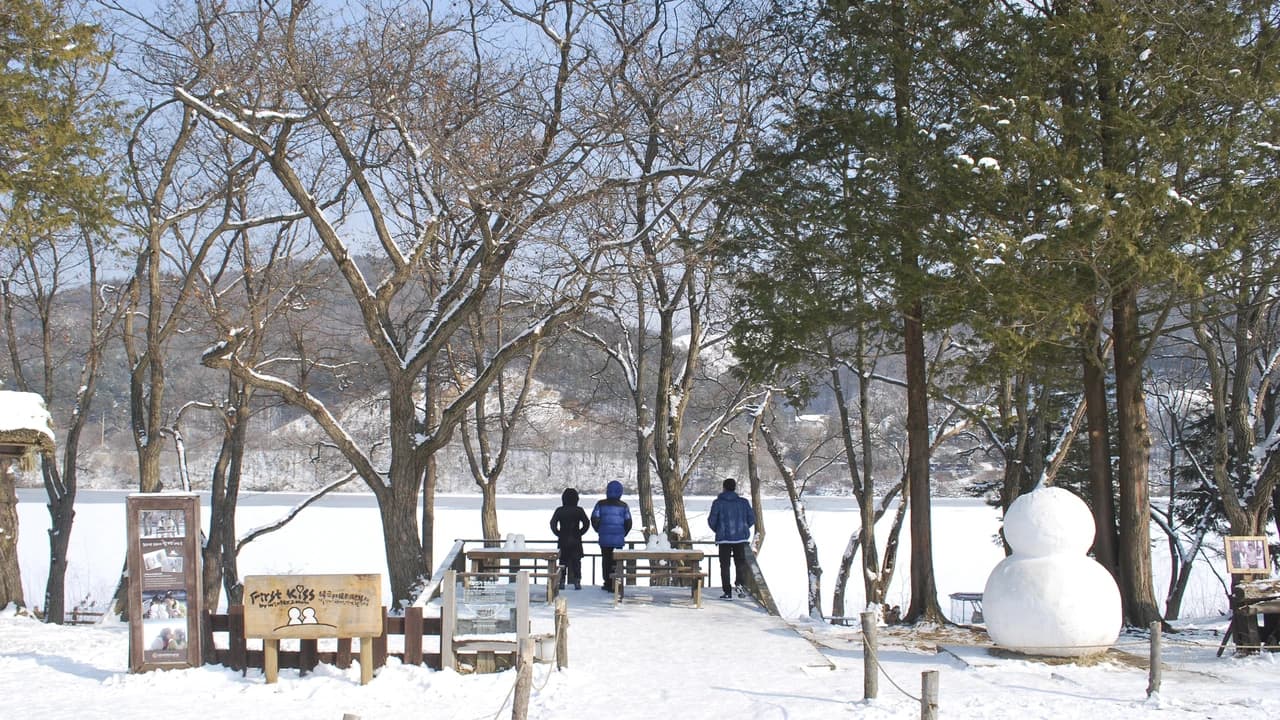 Nami Island and Garden of Morning Calm Tour from Seoul - Photo 5