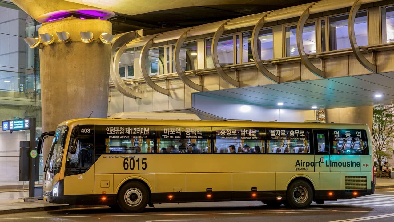 Airport Limousine Bus Transfers from Incheon International Airport to Seoul - image 7