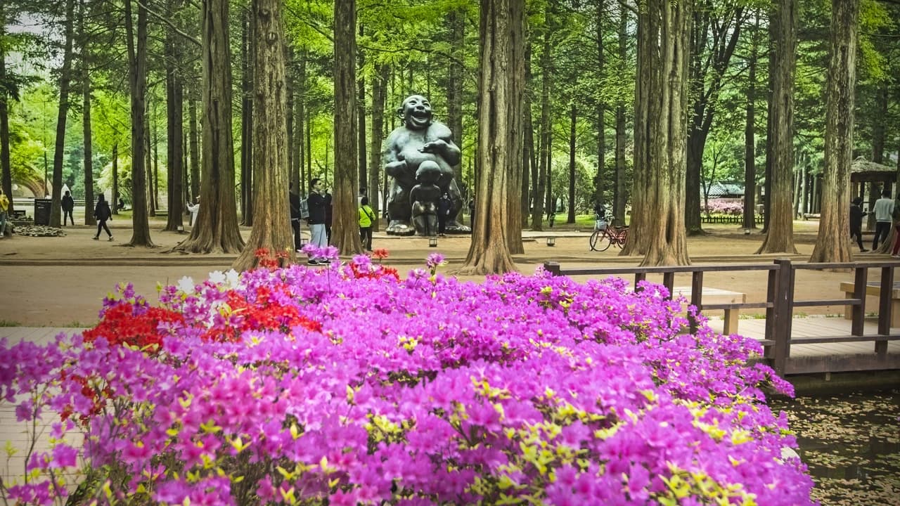 Nami Island, Petite France, and Italian Village Tour from Seoul - Photo 1
