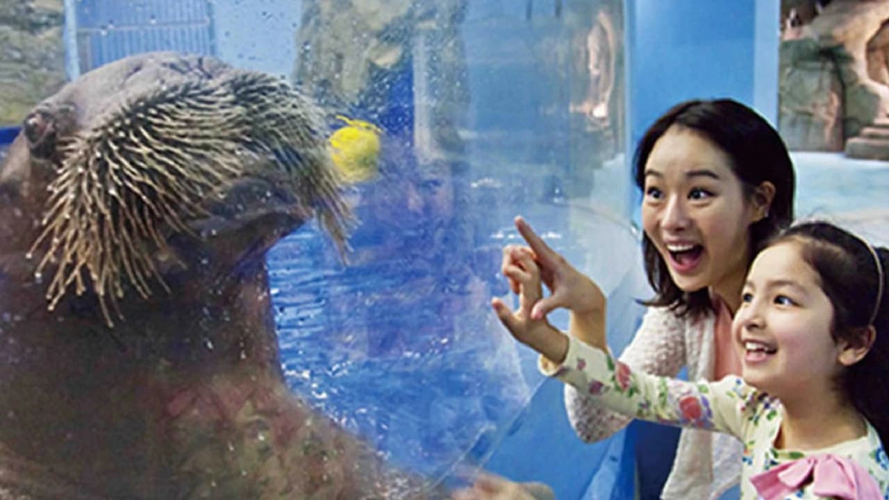 Aqua Planet Jeju Aquarium Ticket - Photo 1