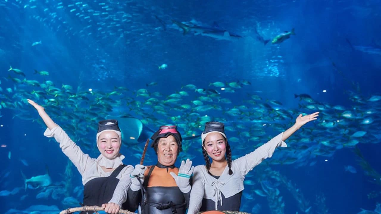 Aqua Planet Jeju Aquarium Ticket - image 8