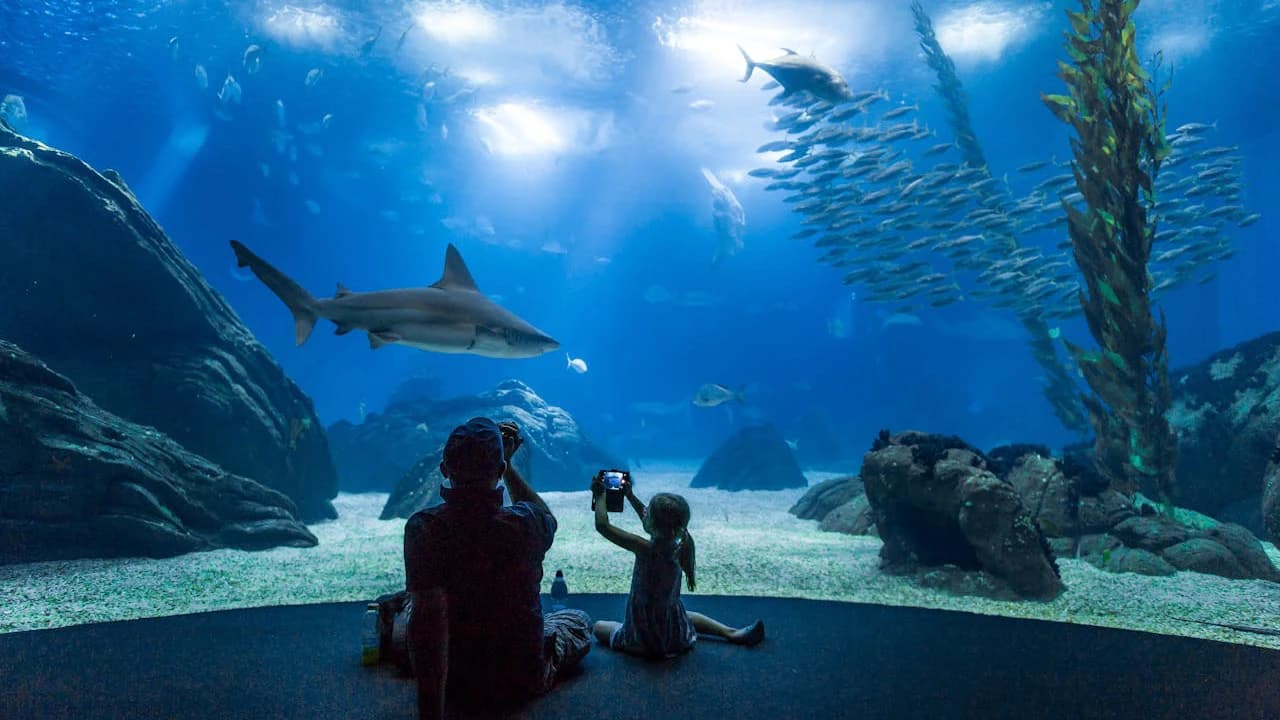 Oceanário de Lisboa Ticket - Photo 1