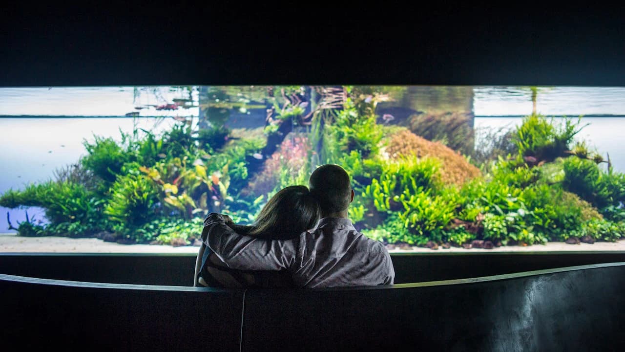 Oceanário de Lisboa Ticket - image 6