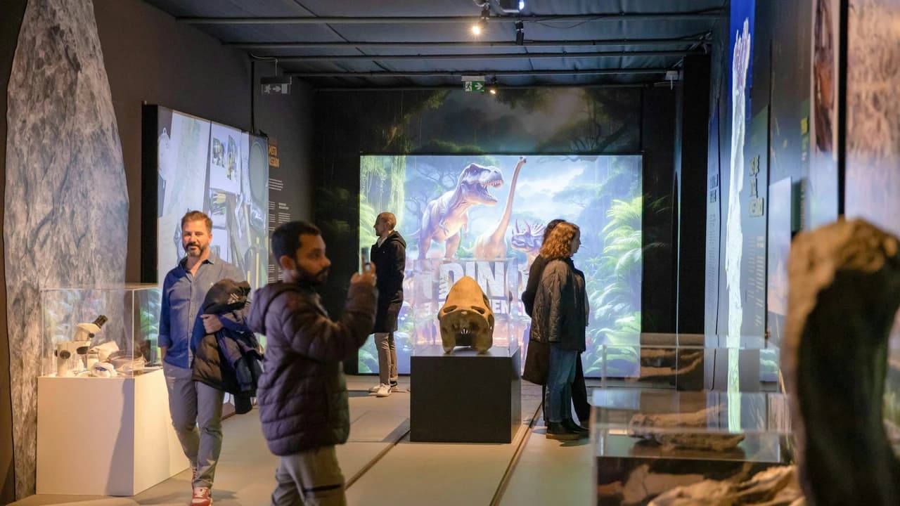 Dino Experience Porto Ticket - image 6