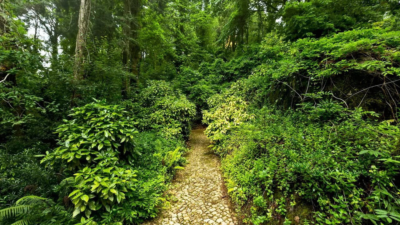 Pena Park in Sintra Ticket - Photo 2