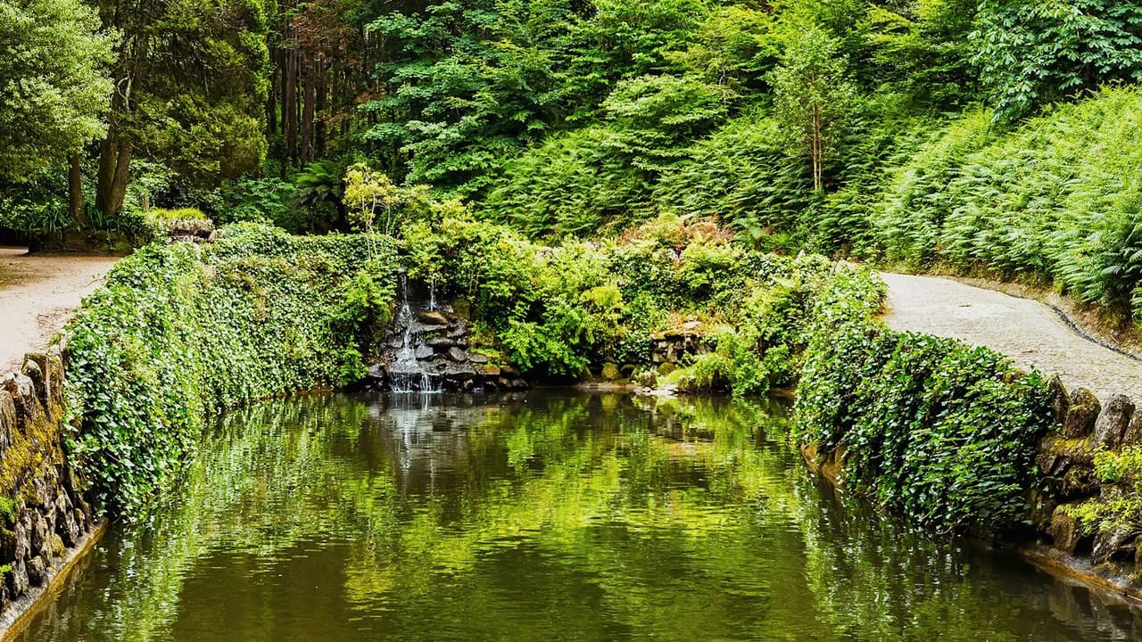 Pena Park in Sintra Ticket - Photo 5