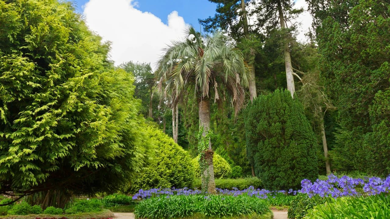 Pena Park in Sintra Ticket - image 6