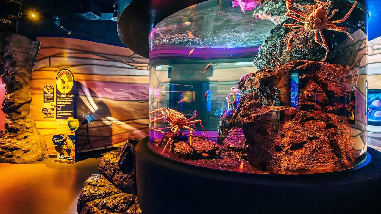 COMBO: SEA LIFE Bangkok Ocean World + Madame Tussauds Bangkok Tickets - Photo 3