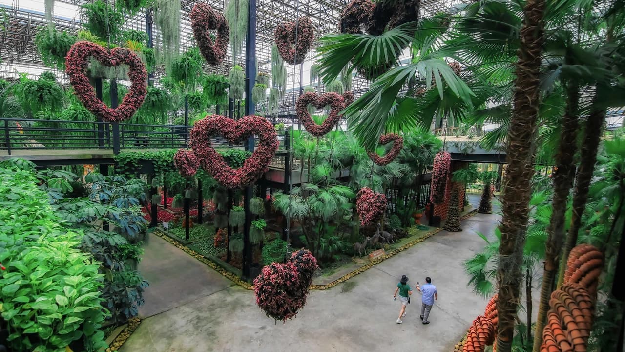 Nong Nooch Tropical Garden Ticket - Photo 5
