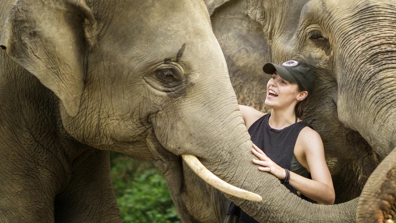 Elephant Jungle Sanctuary Pattaya - Photo 3