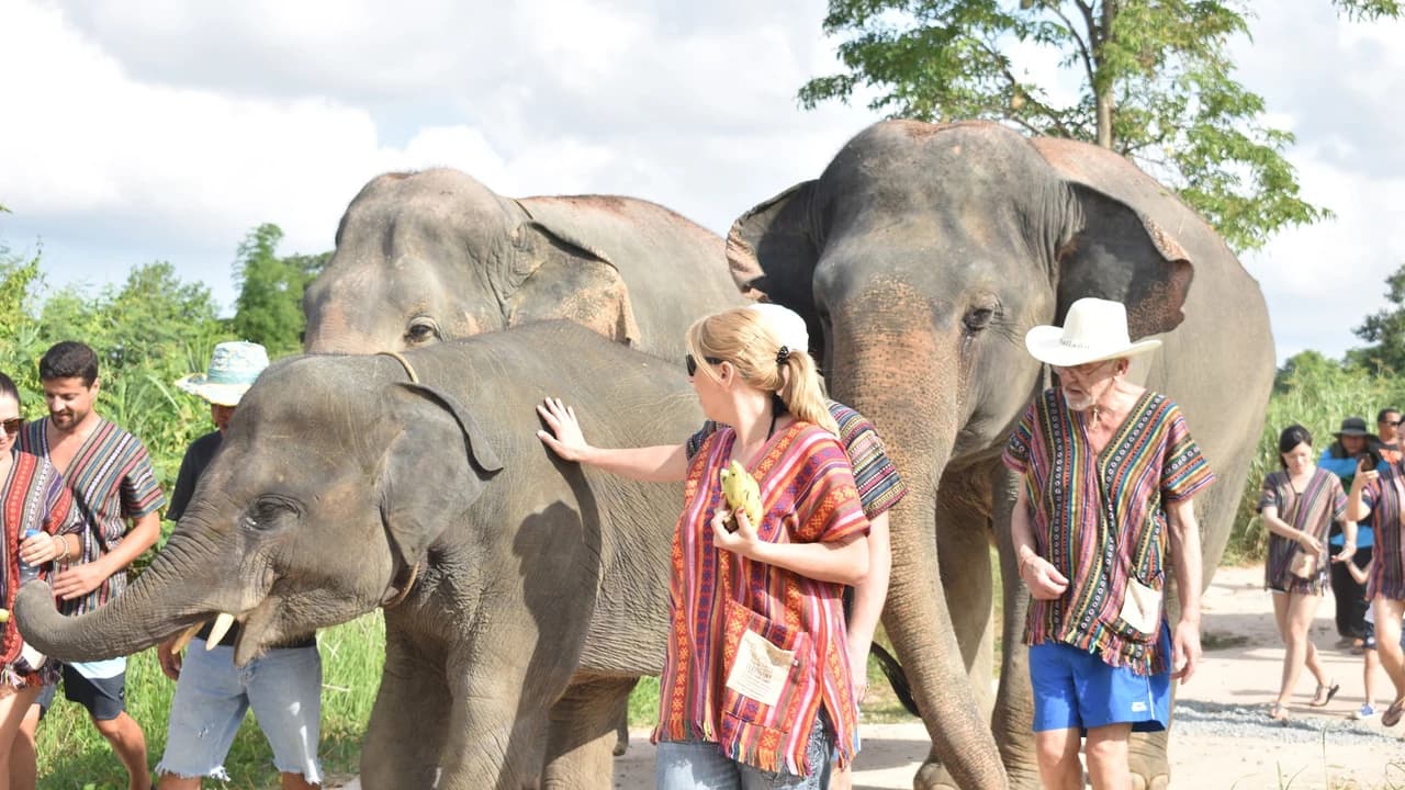 Elephant Jungle Sanctuary Pattaya - Photo 4