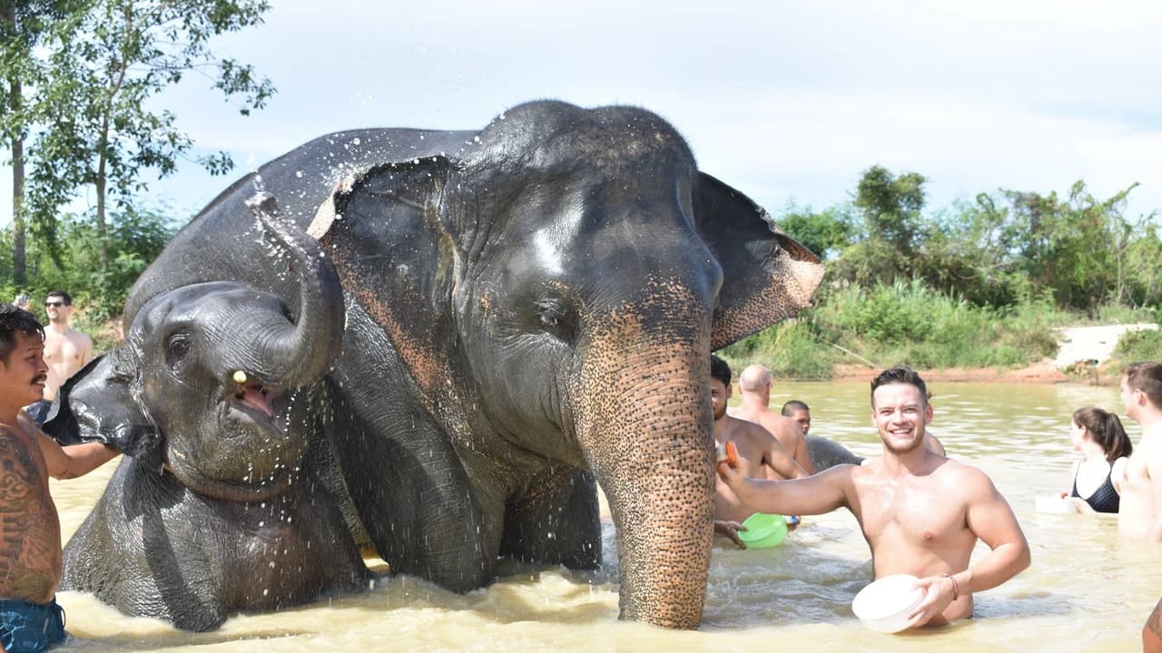 Elephant Jungle Sanctuary Pattaya - image 7