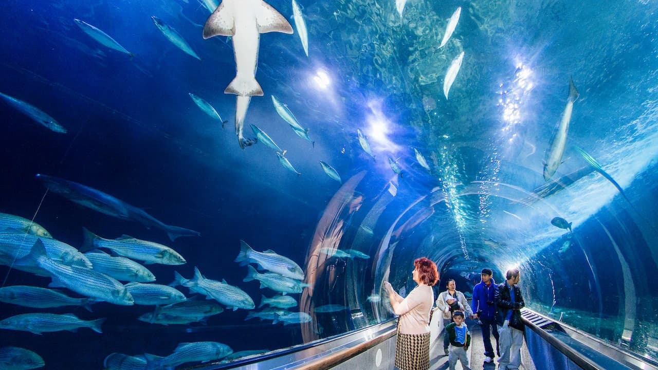 San Francisco CityPASS: Admission to 4 Top Attractions - Photo 3