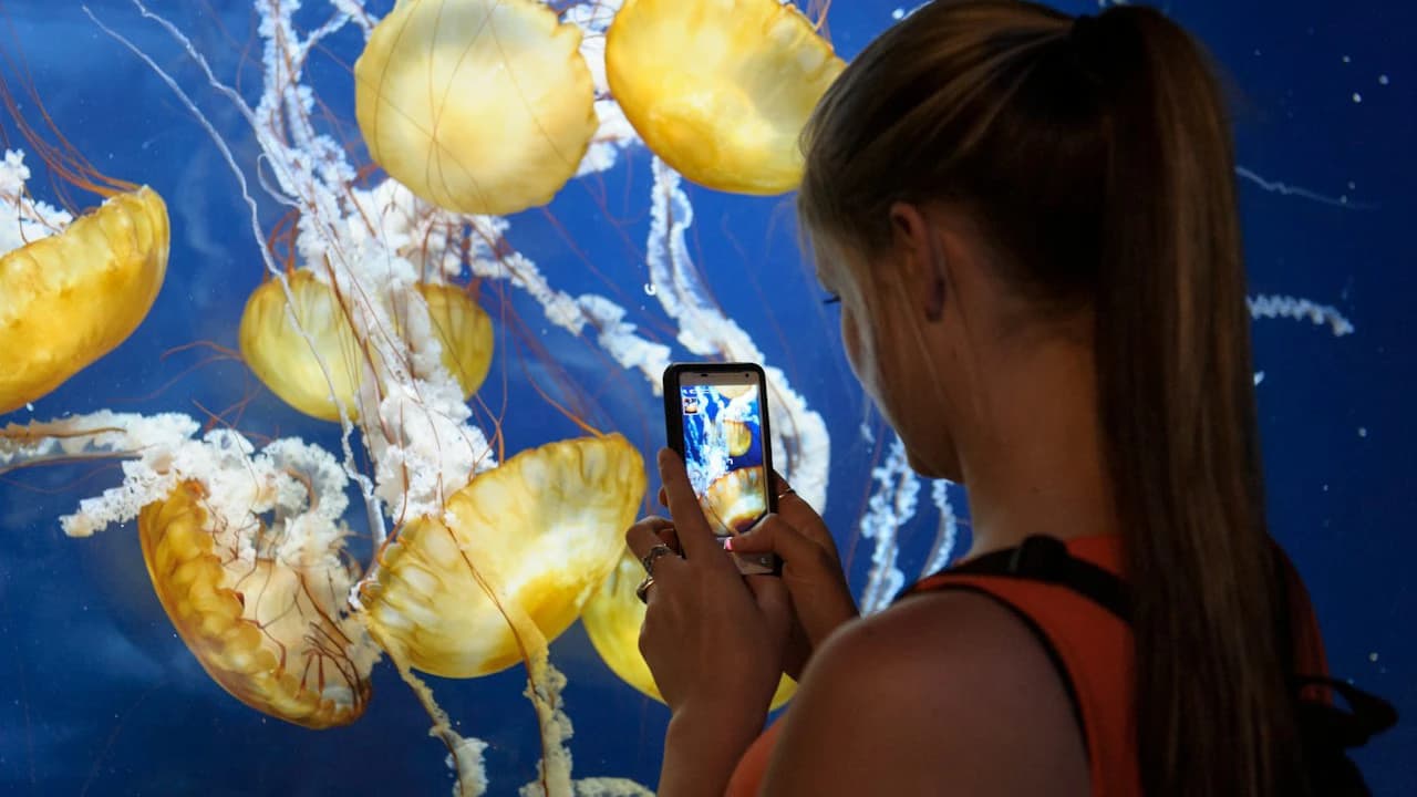 San Francisco CityPASS: Admission to 4 Top Attractions - Photo 4