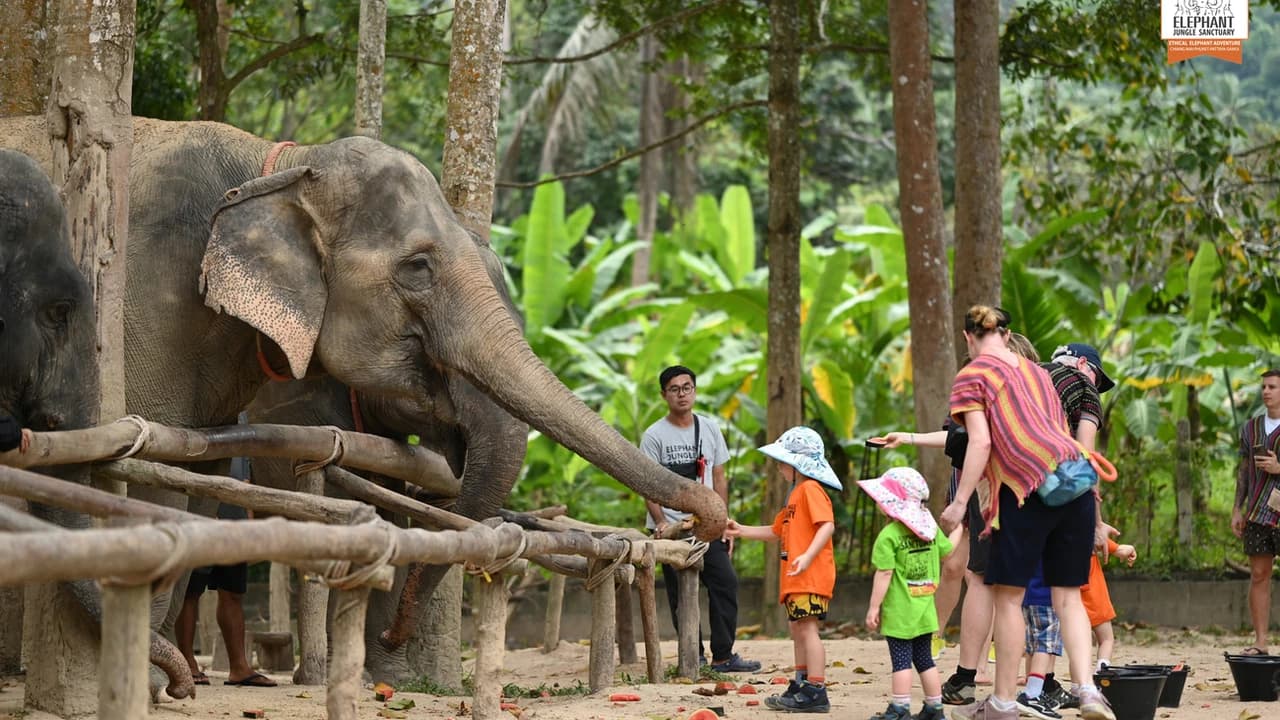 Elephant Jungle Sanctuary Koh Samui - Photo 1