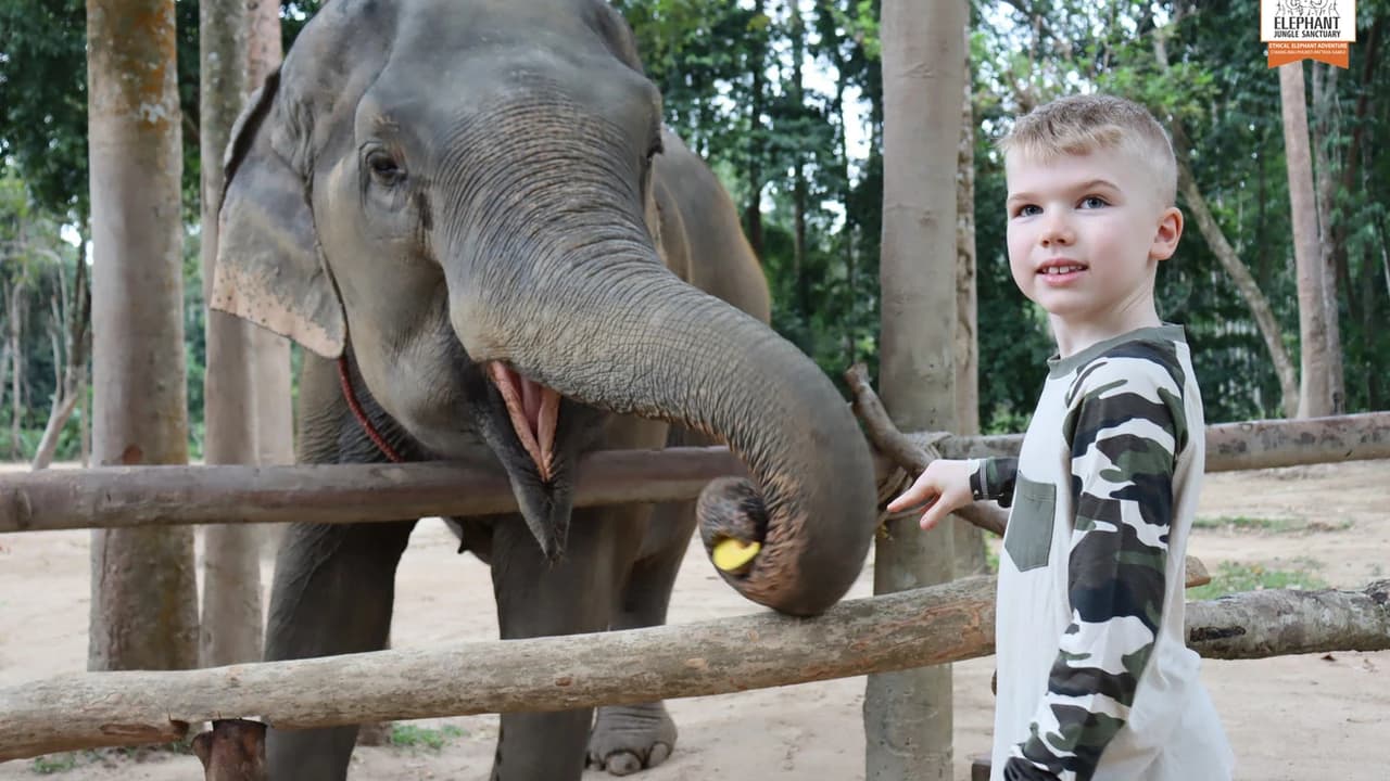 Elephant Jungle Sanctuary Koh Samui - Photo 5