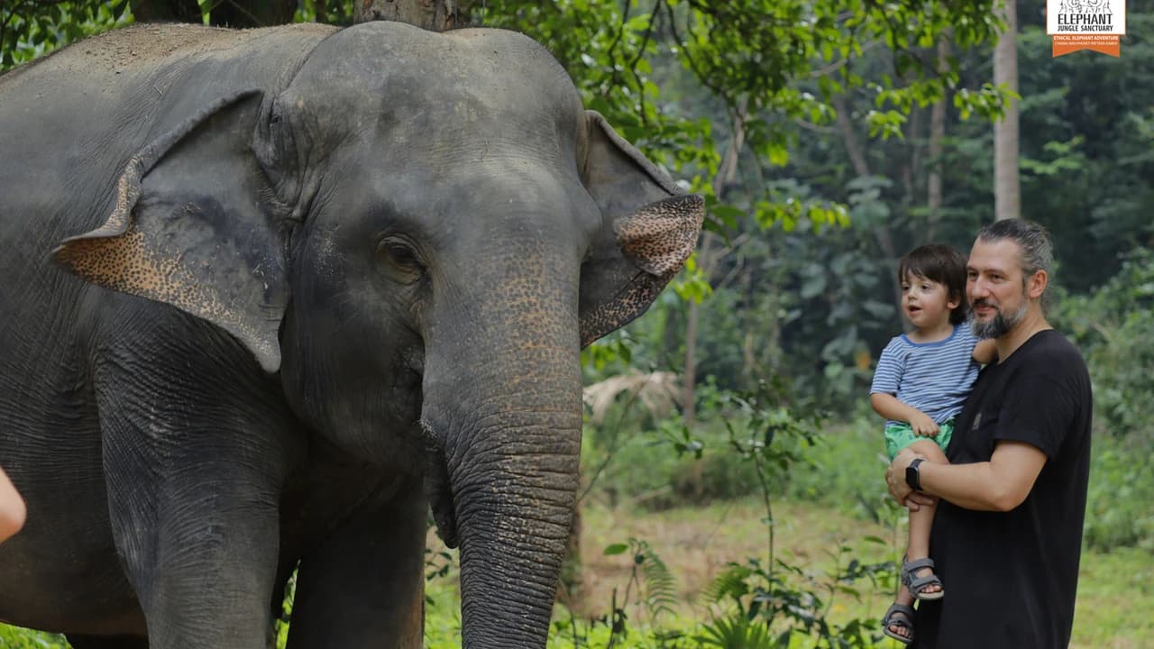 Elephant Jungle Sanctuary Koh Samui - image 8