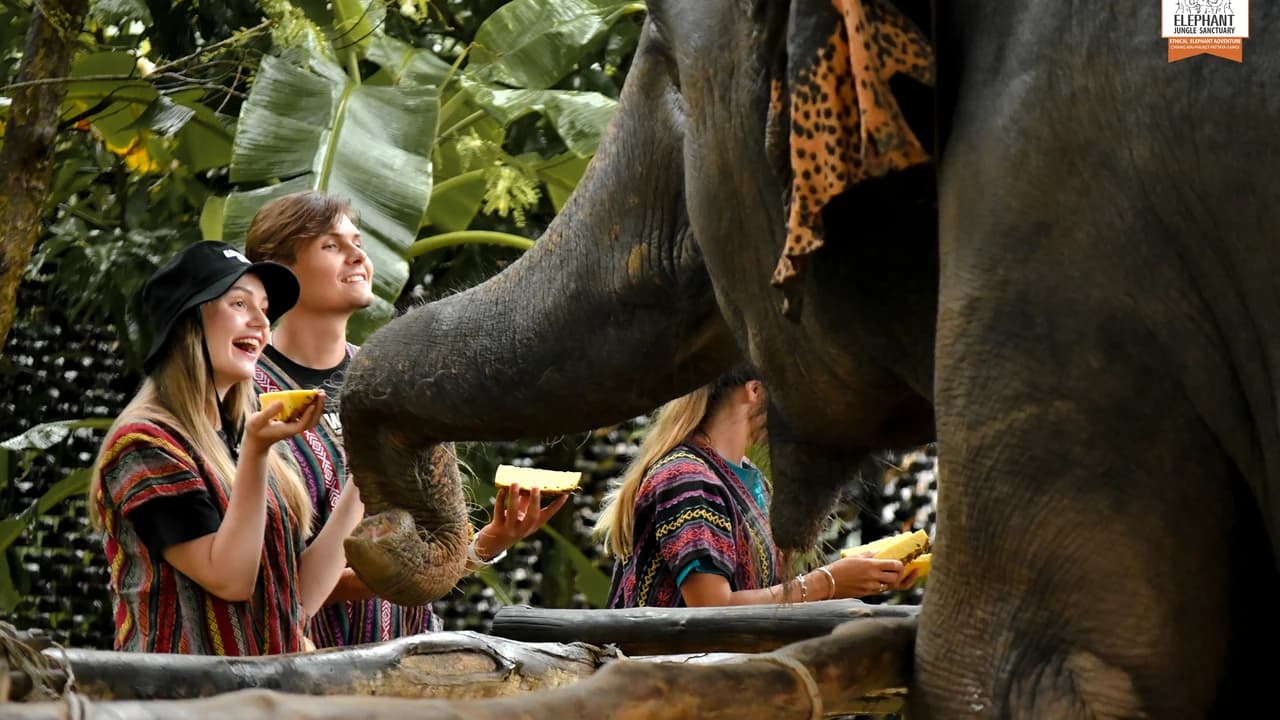 Elephant Jungle Sanctuary Phuket - Photo 1