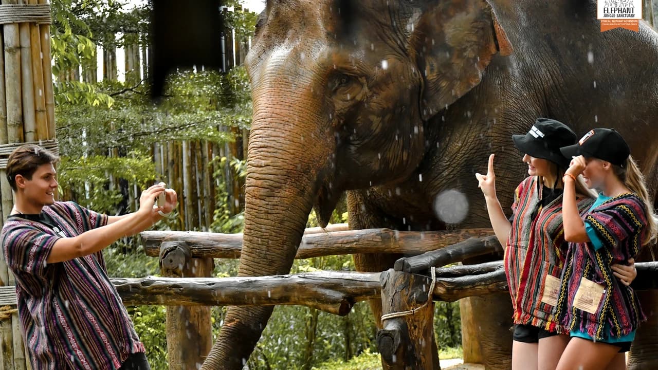 Elephant Jungle Sanctuary Phuket - Photo 3