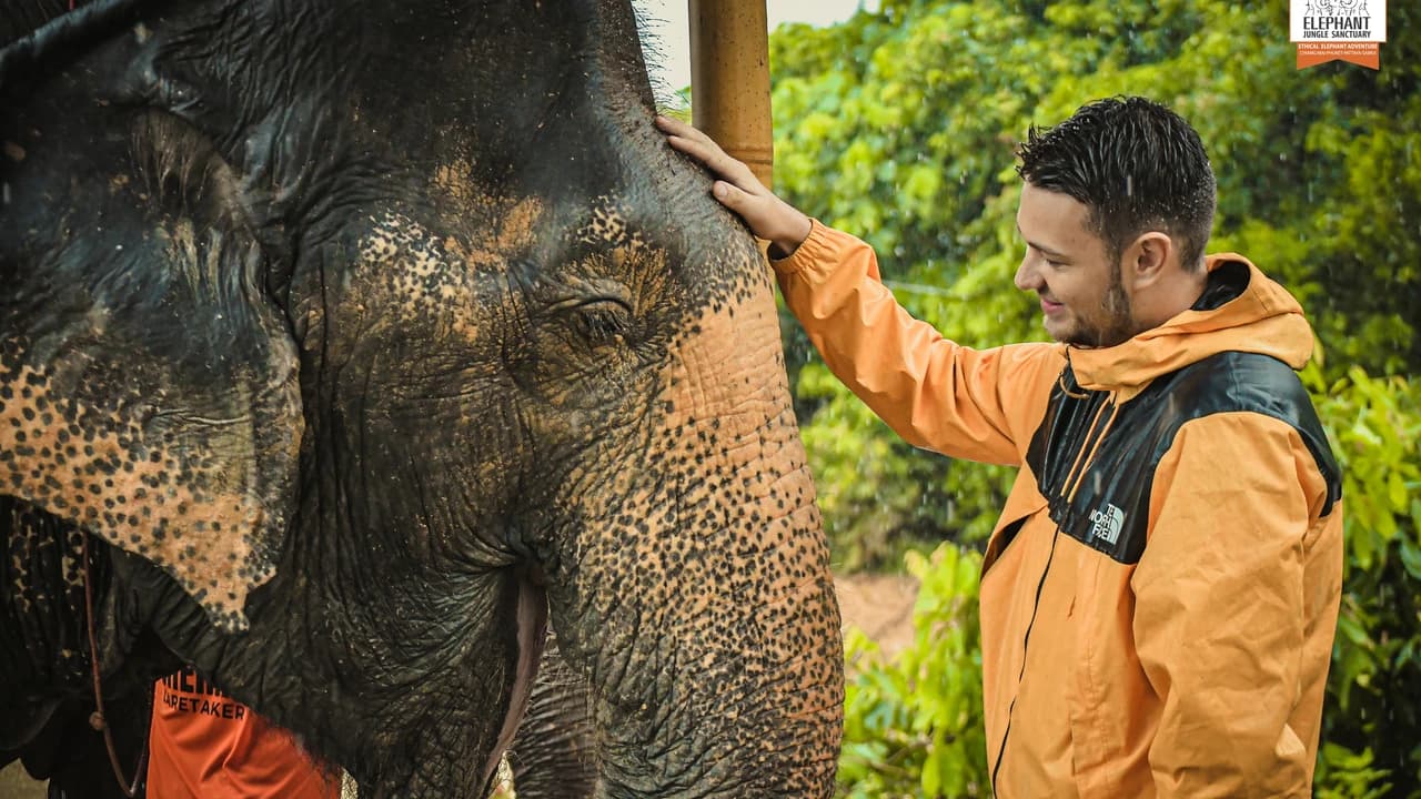 Elephant Jungle Sanctuary Phuket - image 6