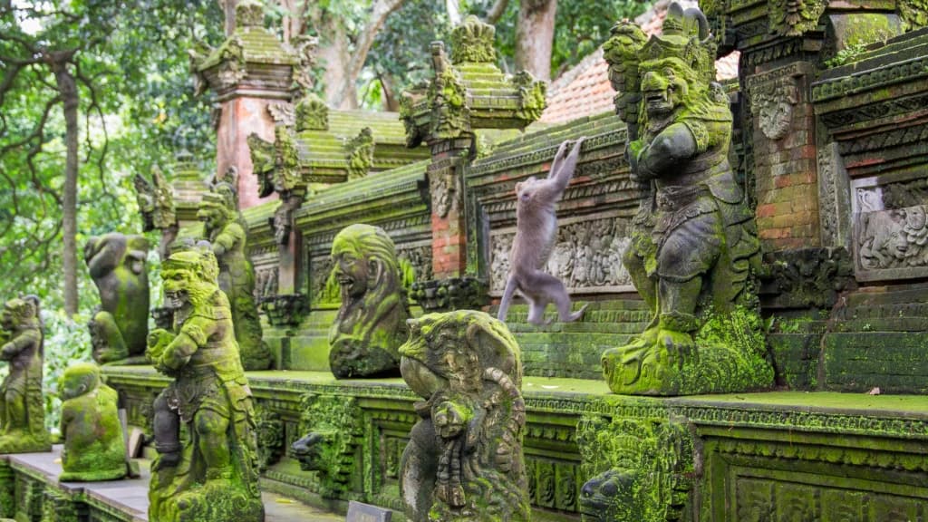 Kuta Tegenungan Waterfall & Tirta Empul Private Tour - image 7