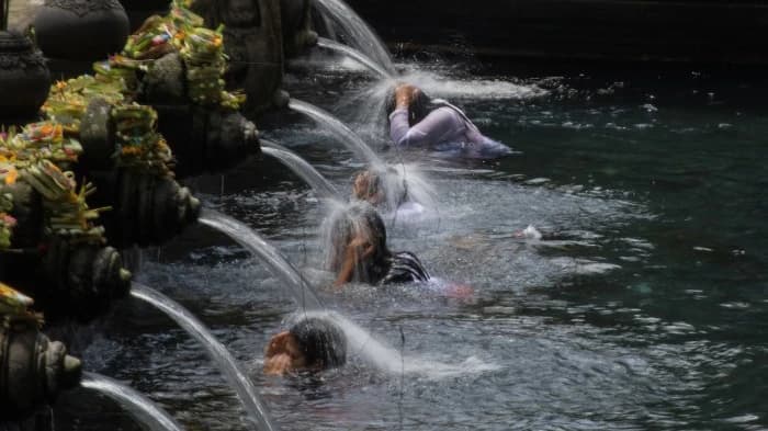 Purification Ritual In Tirta Empul Holy Water Temple and Ubud Tour - image 8