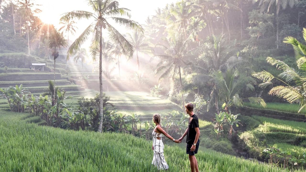 Ubud Highlights And Lempuyang Gate of Heaven Sunset Private Tour - Photo 3