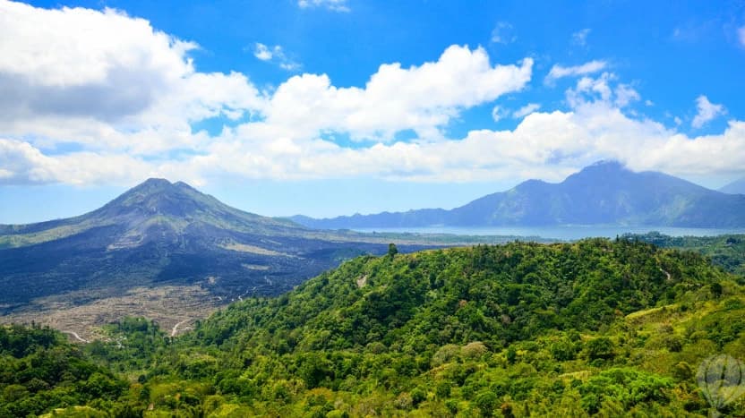 Bali's Greatest Hits: Ubud & Kintamani Private Tour - Photo 3