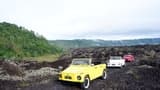 Kintamani Volkswagen Safari Tour - image 8