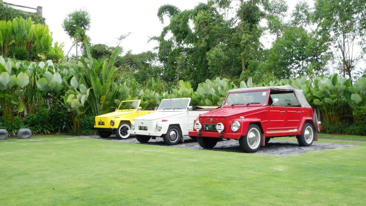 Kintamani Volkswagen Safari Tour - image 6