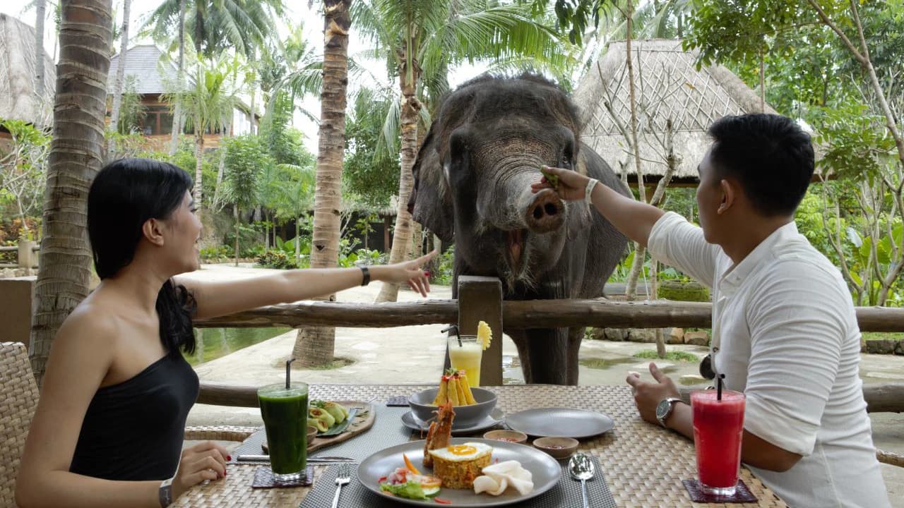 Lombok Wildlife Park: Intimate Wildlife Experience - image 7