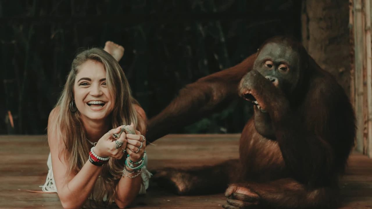 Lombok Wildlife Park Orangutan Interaction - Photo 2