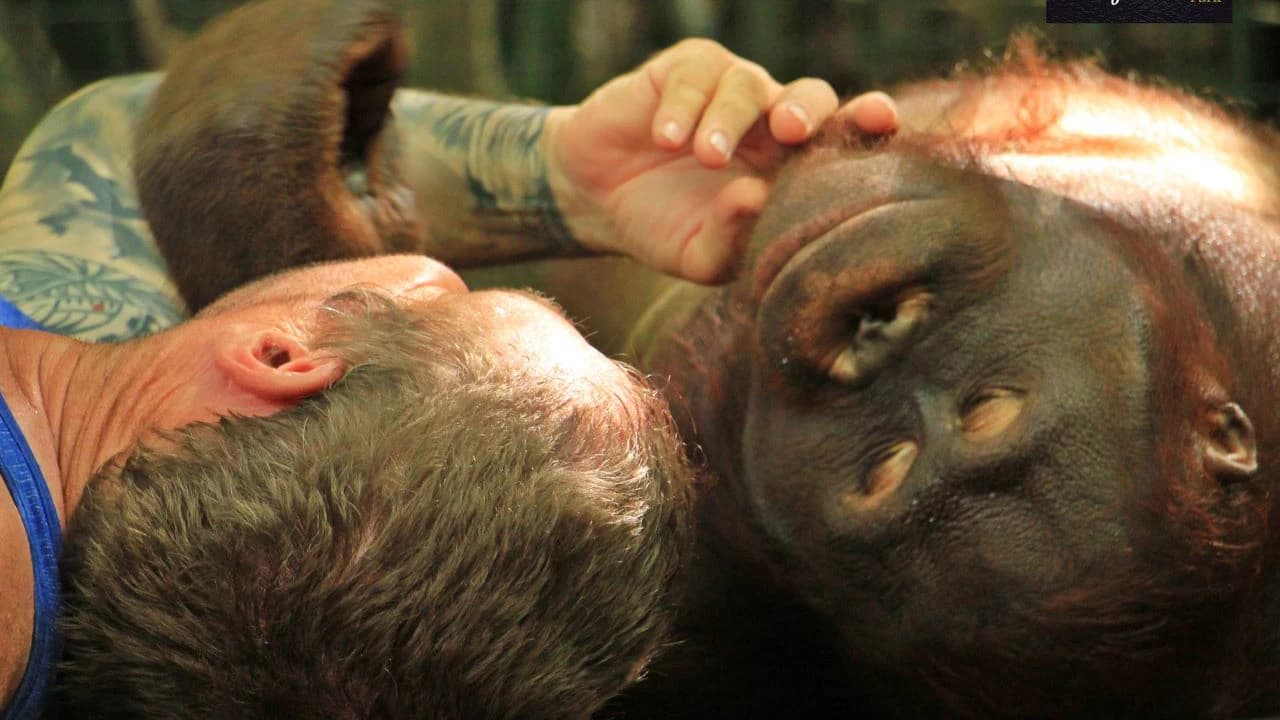 Lombok Wildlife Park Orangutan Interaction - Photo 4