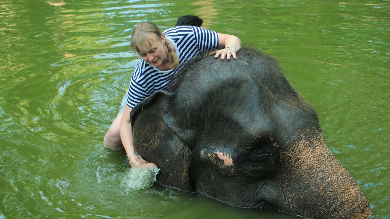 Lombok Wildlife Park Elephant Bath Experience - Photo 1