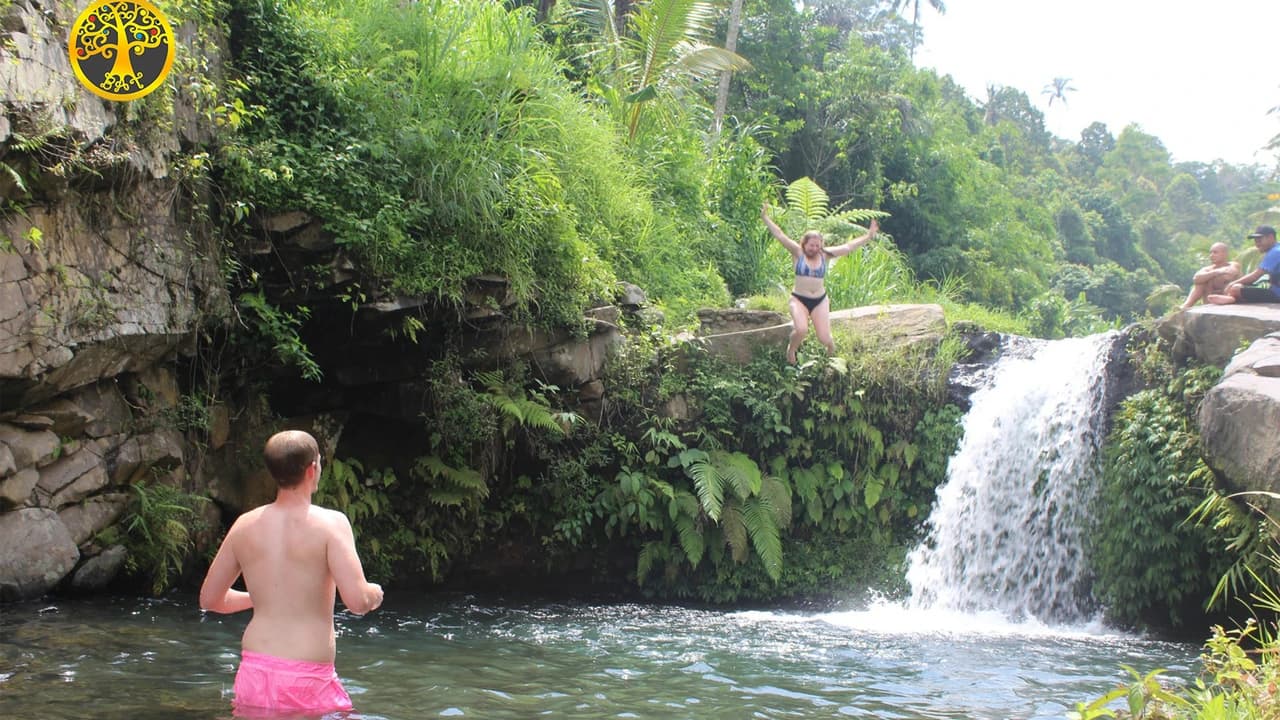 Sekumpul Waterfall and Gate of Heaven Private Trip in Bali with Lunch - Photo 1