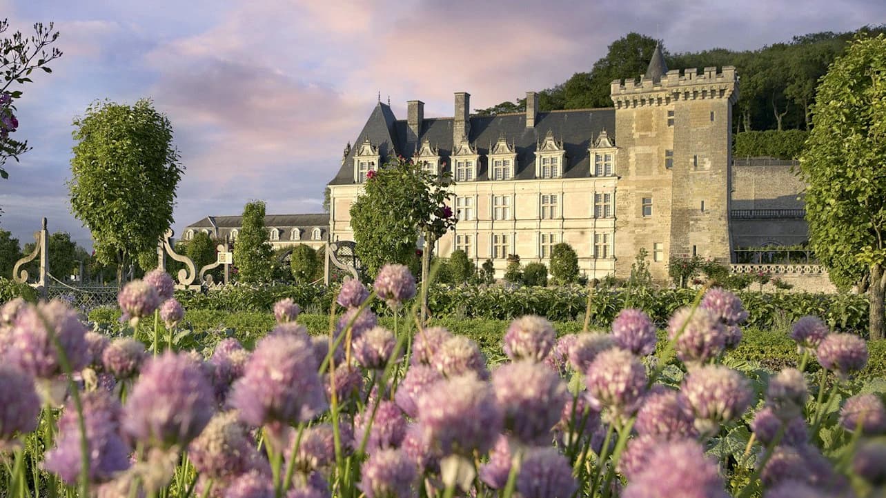 Château de Villandry Ticket - image 8