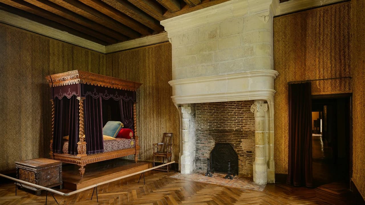 Château d'Azay-le-Rideau Ticket - image 6