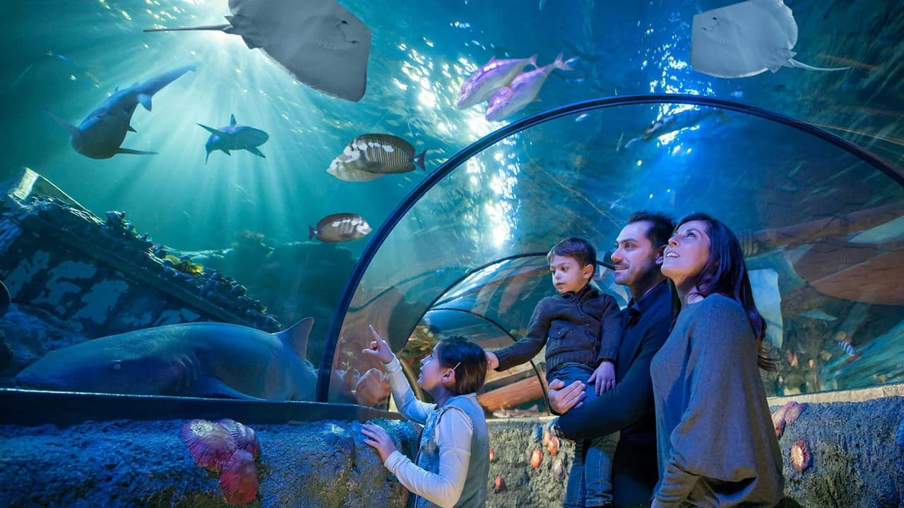 Gardaland SEA LIFE Aquarium Ticket - Photo 1