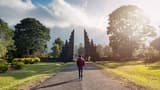 North Bali Sunrise, Handara Gate and Ulun Danu Bratan Tour - image 6