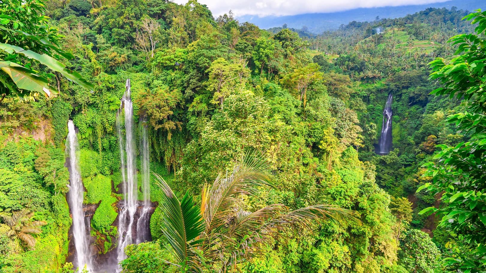Bali Sekumpul Waterfalls & Pura Ulun Danu Bratan Private Day Tour - image 7